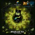 Заказать кальянный табак Spectrum Hard Brazilian Tea (Спектрум Хард Бразильский Чай) 100г онлайн с доставкой всей России